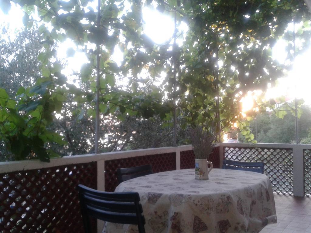Apartments Bojana Rab 수페타르스카 드라가 객실 사진